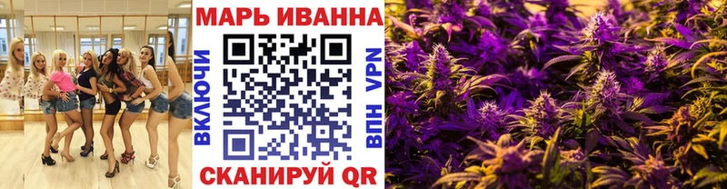 Каннабис OG Kush  Севск 